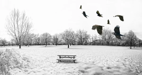 Winter landscape with flock of birds