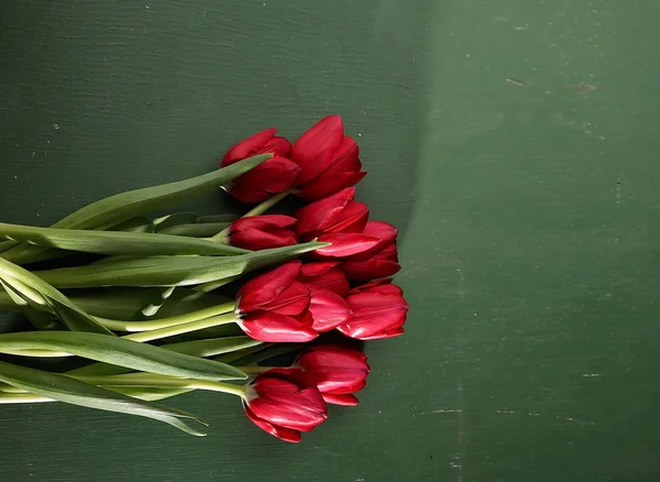 Tulips on wooden board