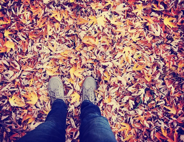 Feet on colored autumn leaves