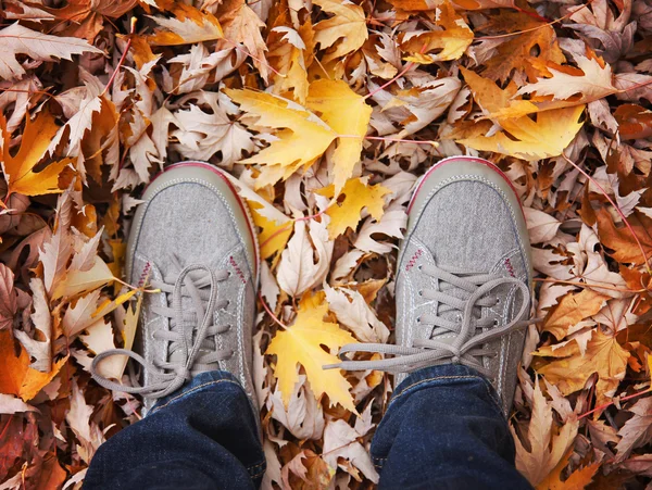 Feet on autumn leaves