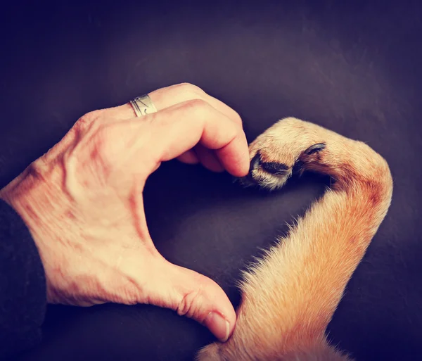 Person and dog making heart shape