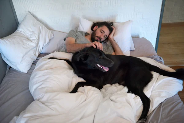 Dog lying in bed with owner