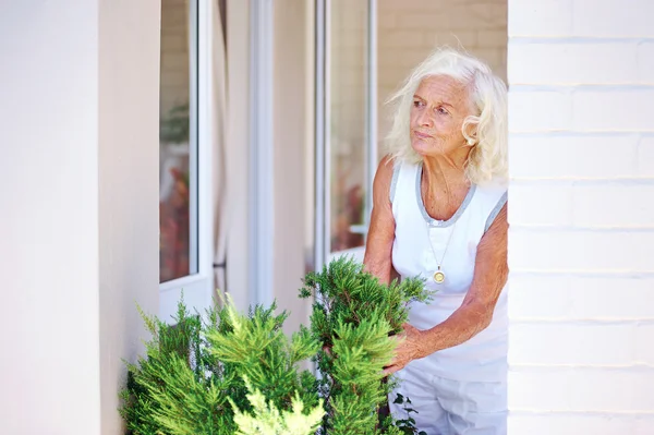 Woman pensioner looking after plants