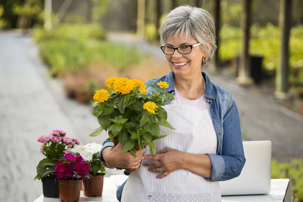 Mature woman holding flowers on her hands