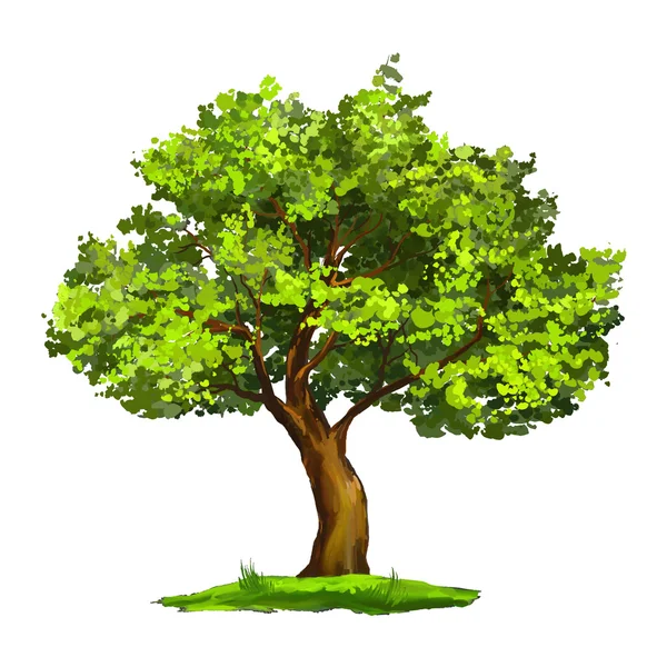 Tree vector illustration  hand drawn  painted