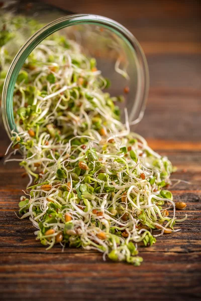 Glass jar full of sprouted seeds