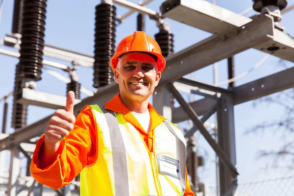 Engineer in electrical power plant