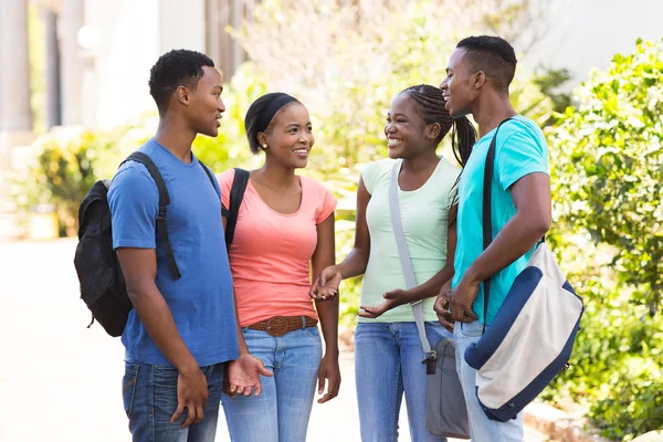 Afro american university students chatting