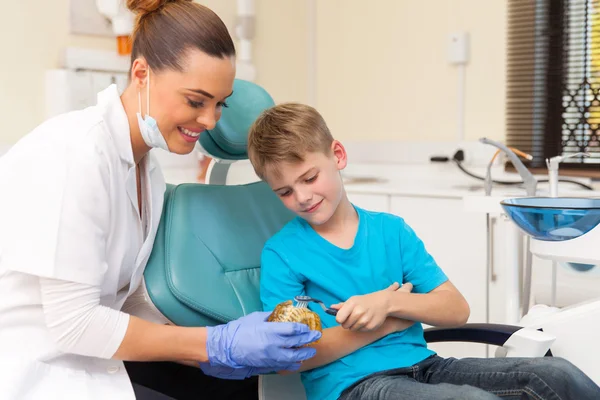 Dentist teaching young boy