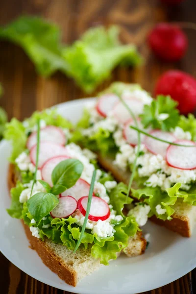 Sandwich with cheese, radish and lettuce