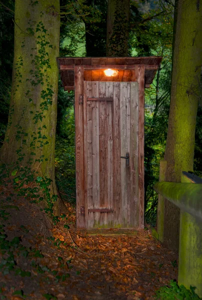 Wooden dry toilet house at night in the forest