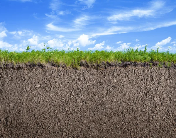 Soil ground, grass and sky nature background