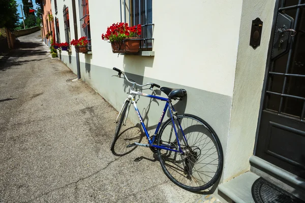 Bike loaded with flowers standing in front of an old door