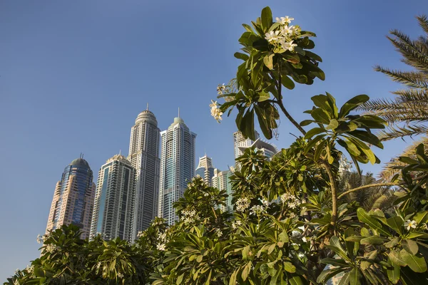 Dubai Marina. UAE