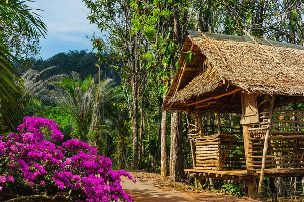 Hut on the road in the jungle  on the  Phuket in Thailand