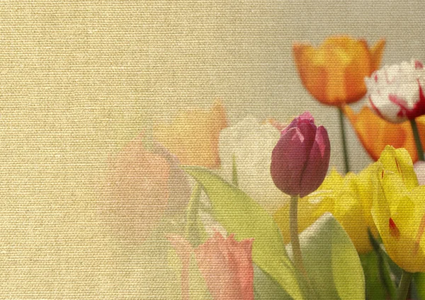 Tulips on canvas texture
