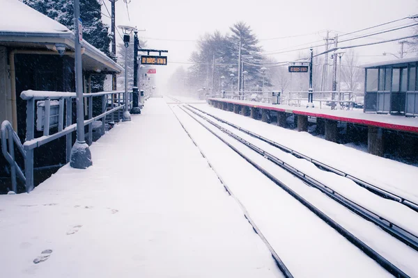 Long Island Railroad Winter