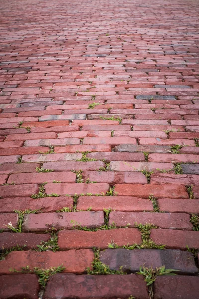 Brick Road