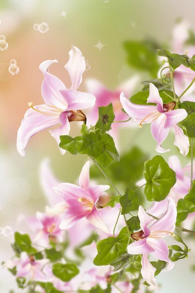 Flowers exotic background