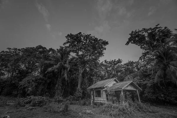 Scenics view of old wooden abandoned cottage against sky