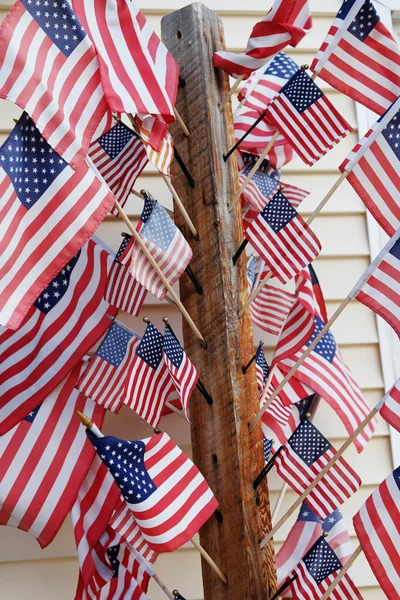 Bunch of american flags on the house