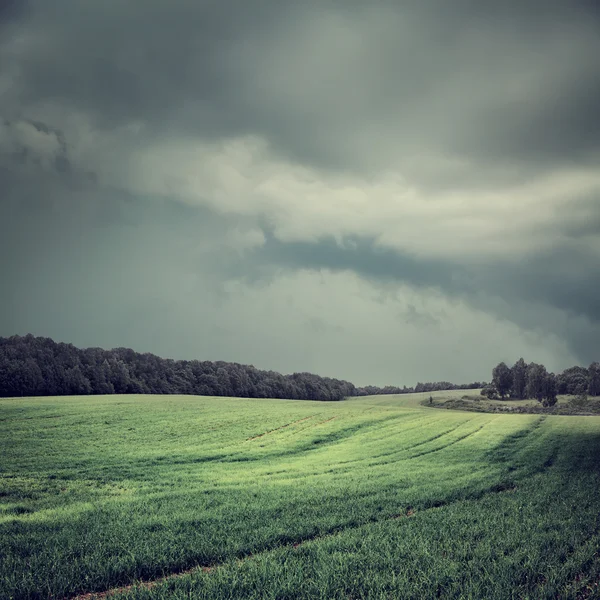 Toned Dark Landscape with Field and Moody Sky