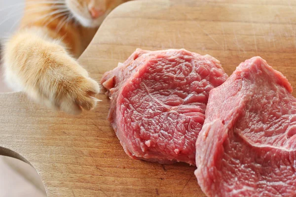 Ginger cat steals the raw meat