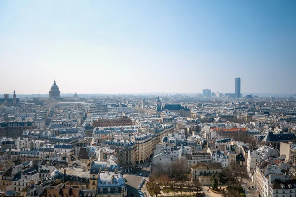 Antique city building in paris,france Europe