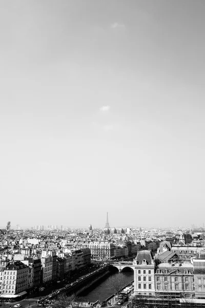 Antique city building in paris,france Europe