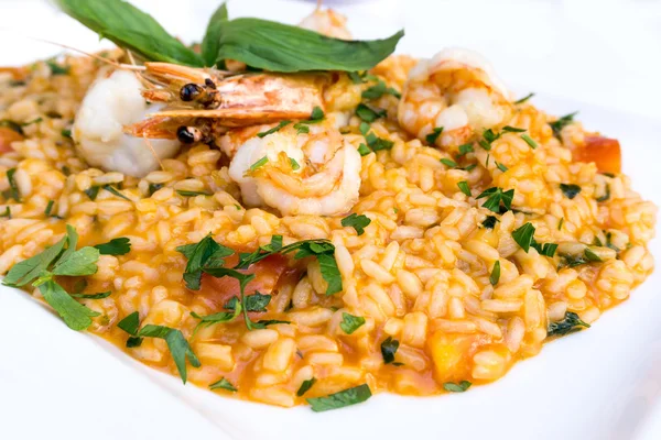 Tasty risotto with Shrimp, fresh herbs vegetables on a white pla