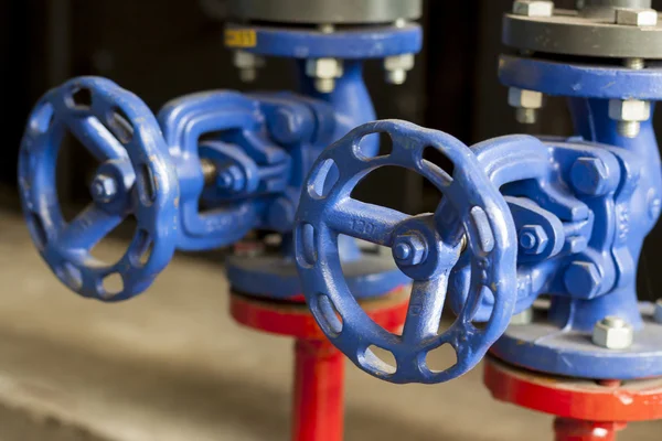 Blue safety valves