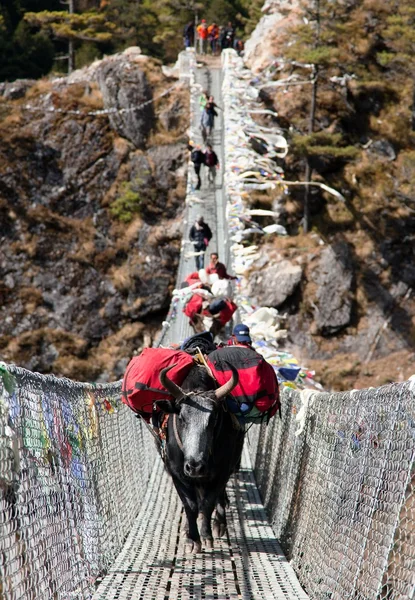 Yaks and people on hanging suspension bridge