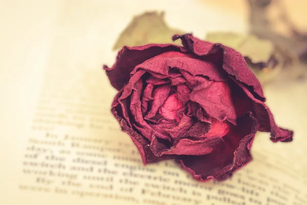 Dry red rose on vintage old book