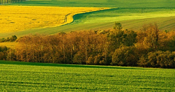 Beautiful spring rural landscape