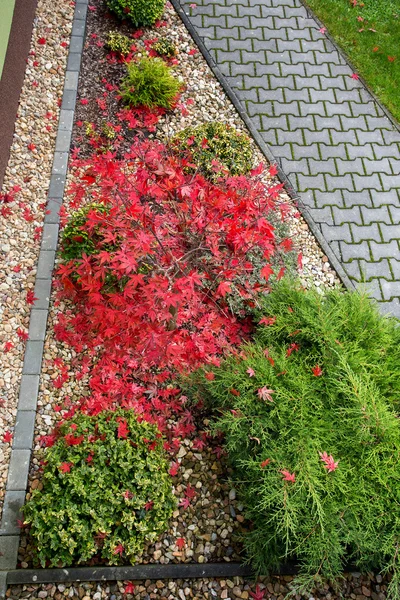 Autumn colors composition in home garden