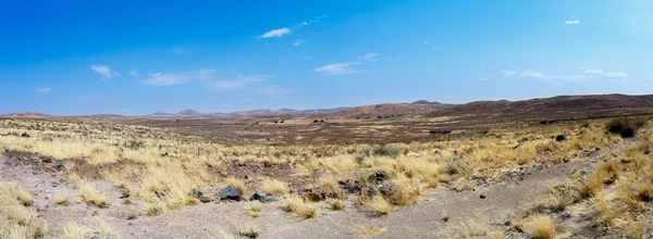 Dry Namib desert in sunset, landscape