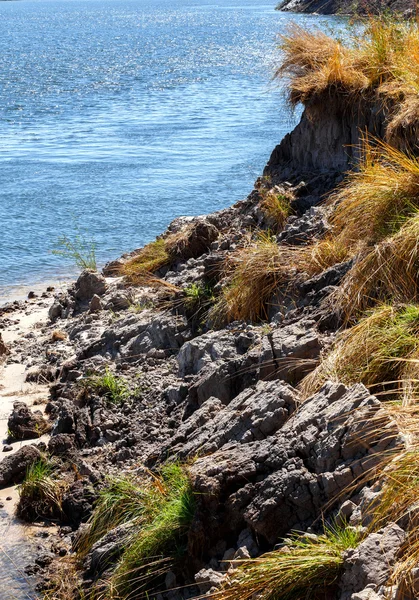 Bank of the river zambezi