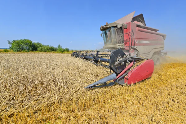 Grain harvesting combine in a rural landscape.