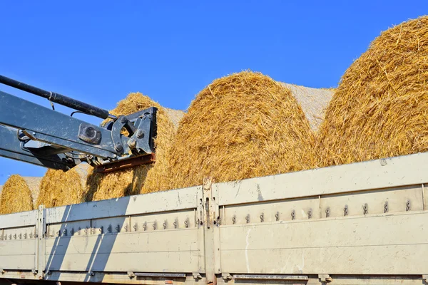 Loading bales of straw in the car tractor with attachments in the field