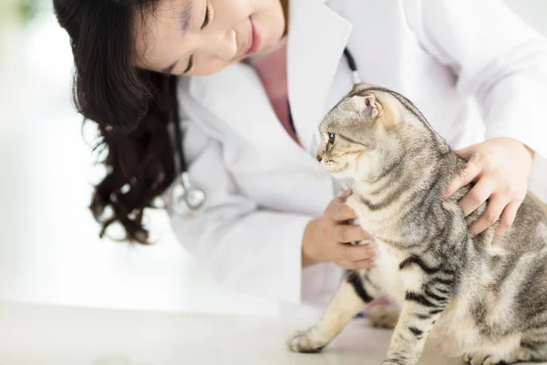 Female veterinarian medical doctor with cat