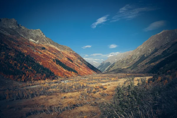 The mountain autumn landscape with colorful forest and high peak