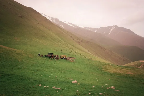 Mountain landscape with people and horses.