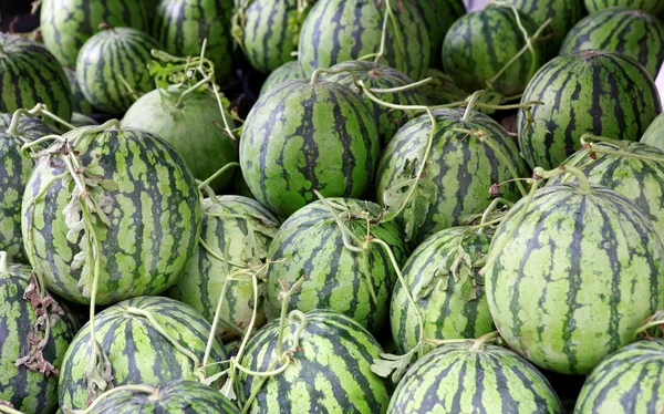 Ripe watermelons