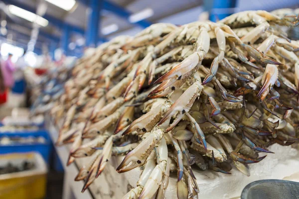 Fresh crabs at the Dubai fish market, UAE