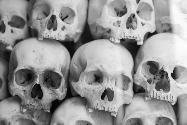 Skulls and bones in Killing field, Phnom Penh, Cambodia