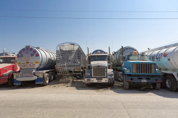 Big fuel gas tanker trucks parked on highway