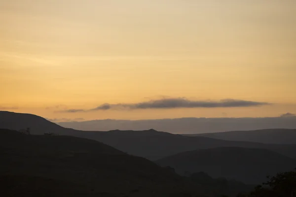 The Gran Sabana in the morning light - Venezuela