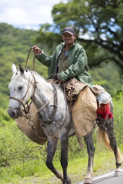 Gaucho on his horse traveling on the ruta 40, Argentina