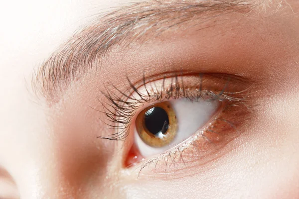 Close up of woman\'s brown eye