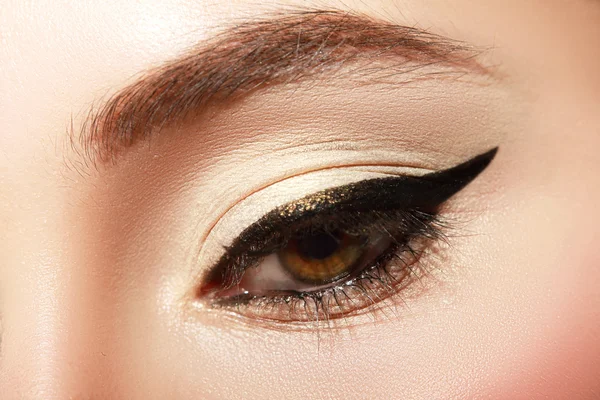 Female eye with sexy black liner makeup